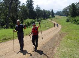 Mount Kenya Climbing